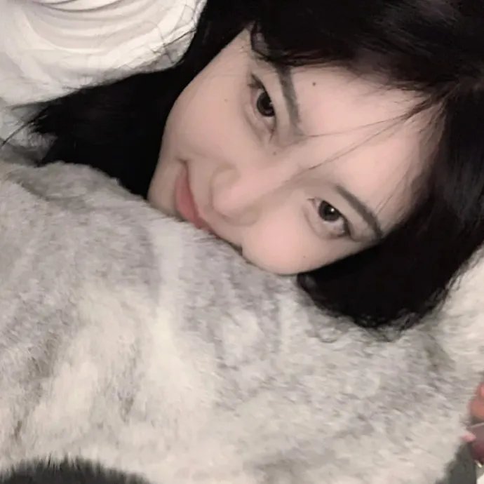 孤独的美食家2019除夕特别篇