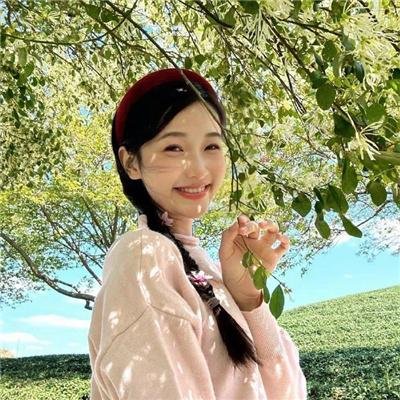 案藏玄机
