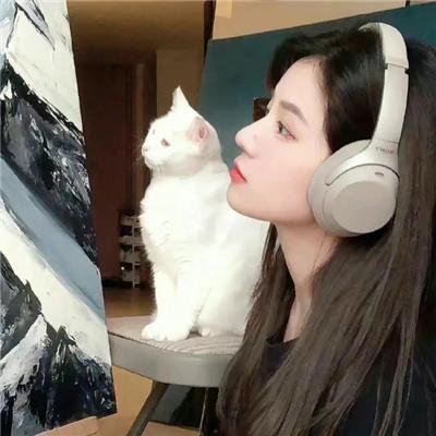 血与骨